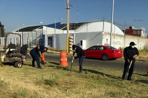 Cadetes se suman a jornadas de proximidad organizadas por el Ayuntamiento en bosques de San Sebastián