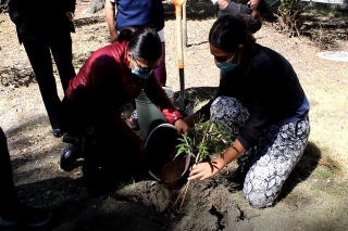 Rehabilita árboles Ayuntamiento de Puebla en Parque de la Madre  