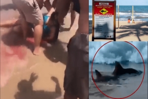 Mujer estadounidense pierde una pierna tras ataque de tiburón