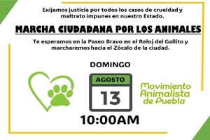 Movimiento Animalista llama a marcha contra maltrato  animal en Puebla