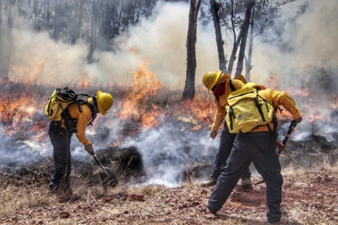 Calores provocan incendios forestales y arrasan con más de 200 hectáreas  