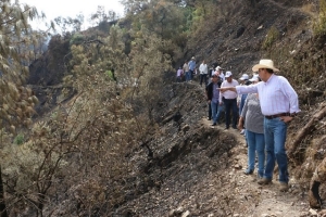 Extinguido incendio forestal en Zacatlán