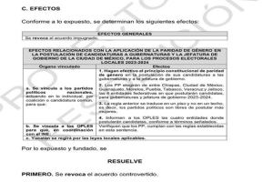 Magistrado del TEPJF propone revocar acuerdo del INE sobre postulación de candidaturas 