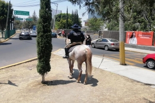 Refuerza policía de San Andrés Cholula esquemas de seguridad en colonias e inspectorías