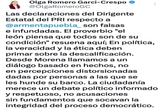 En Morena llamamos a un diálogo basado en hechos, no en percepciones distorsionada como el PRI: Olga Romero 