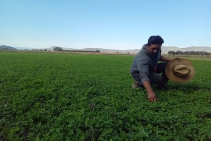 Impulsa Altosano Granjas Carroll la reconversión agrícola en Puebla y Veracruz
