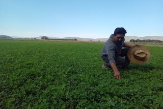 Impulsa Altosano Granjas Carroll la reconversión agrícola en Puebla y Veracruz