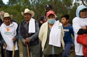 Reforesta Granjas Carroll más de 3 hectáreas en Tepeyahualco