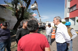 Supervisa Pepe Chedraui retiro de un árbol en condiciones de peligro social