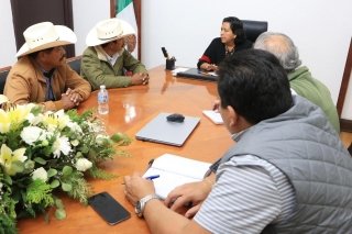 Gobierno de Alejandro Armenta impulsa a apicultores y promueve protección de las abejas