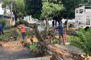 Ayuntamiento de Puebla atiende oportunamente reportes por lluvia