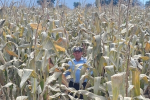 Granjas Carroll implementa sistema de agricultura compartida con pequeños productores de comunidades vecinas