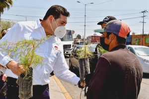 Armenta Mier trabaja a favor de la reforestación y cuidado al medio ambiente