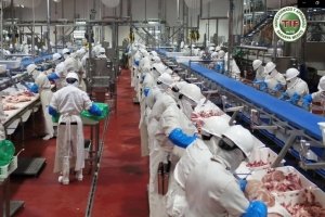 Planta Procesadora de Carne de Cerdo de Granjas Carroll cumple 6 años con altos estándares de calidad