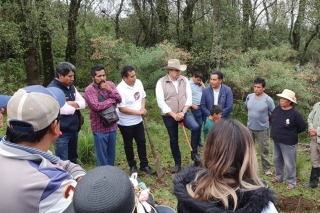 La industrialización del Cáñamo para el crecimiento sostenible y el cuidado del planeta impulsa Alejandro Armenta