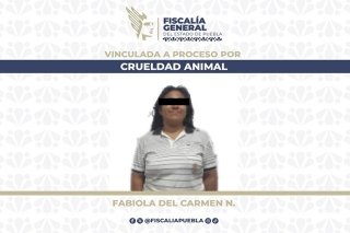 FGE da prisión preventiva a mujer que agredió a lomito con un machete