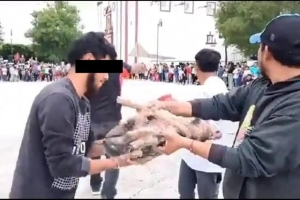 Continúa maltrato animal en Puebla; le rompen las patitas a cerdito por diversión