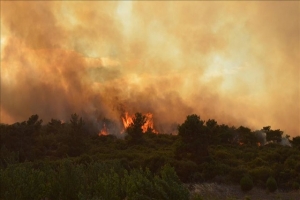 Enorme incendio arde en el Bosque Nacional de Los Ángeles, California
