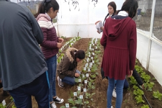 Inaugura Granjas Carroll de México Huerto e Invernadero Escolar