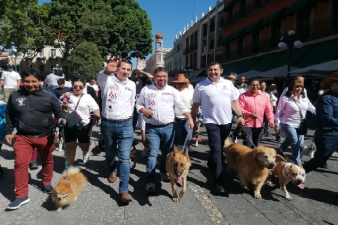 Por Amor a Puebla y a la vida animal, se llevó a cabo marcha canina