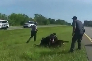 Sueltan a perro policia contra sujeto detenido en una carretera de Ohio