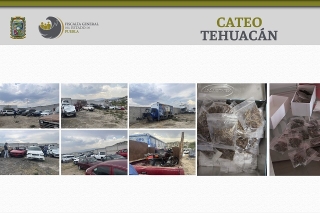 FGE aseguró droga y vehículos con reporte de robo en Tehuacán