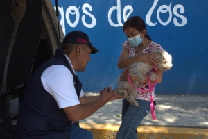 Vacunación antirrábica permanente en el municipio de Puebla