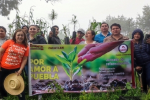 15 municipios se unen al compromiso ambiental en el estado