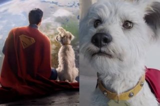 Efecto Krypto! Incrementa la adopción de perros tras estreno de Superman