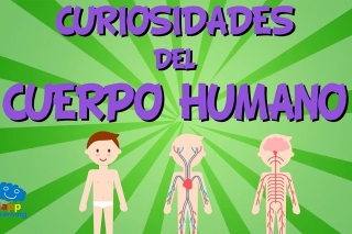 Curiosidades sobre el cuerpo humano