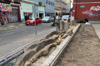 Recuperación de espacio público en el Centro Histórico prioriza seguridad y equilibrio ambiental: Gobierno de la Ciudad