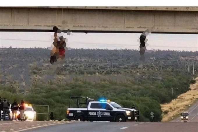 Cierran vialidad tras encontrar 6 cadáveres colgados en puente vehicular de Zacatecas