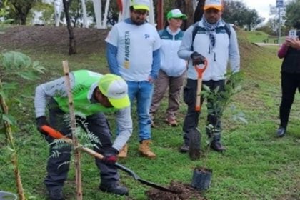 Con la siembra de más de 15 mil árboles, Agua de Puebla culmina con éxito su Programa de Reforestación 2025 “Siembra Vida”
