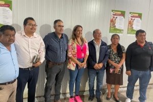 Refuerza Gobierno de la Ciudad acciones para prevenir la propagación del gusano barrenador