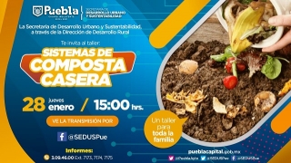 Ayuntamiento de Puebla brinda talleres virtuales de cultivo para zonas urbanas