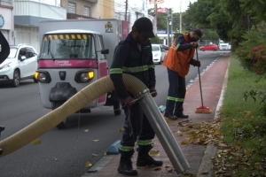 Organismo Operador del Servicio de Limpia da mantenimiento a avenida y ciclopista de la 14 sur 