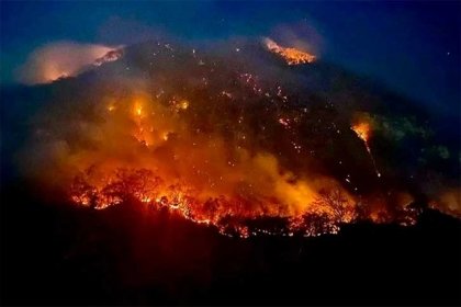 México también sufre los estragos: récord mundial de incendios forestales en 2024 golpea a América Latina