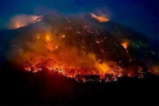 México también sufre los estragos: récord mundial de incendios forestales en 2024 golpea a América Latina
