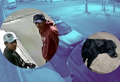 Roban Chevy en la Purísima, Tehuacán dónde también se encontraba un perro labrador