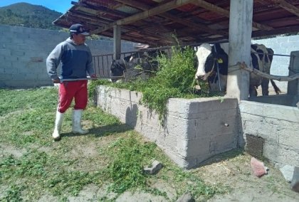 Altosano Granjas Carroll impulsa rotación de cultivos y producción forrajera