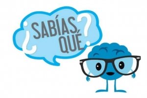 Curiosidades random que te harán volar la cabeza