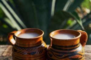 La bebida sagrada de los dioses Mexicas “El Pulque”