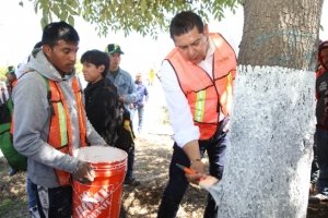 Con encalado, basado en criterios técnico-científicos, se protege arbolado urbano