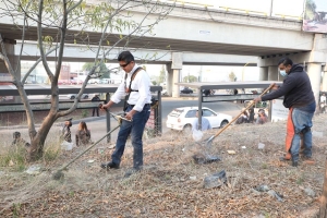 Ayuntamiento avanza con la limpieza de las entradas de la ciudad