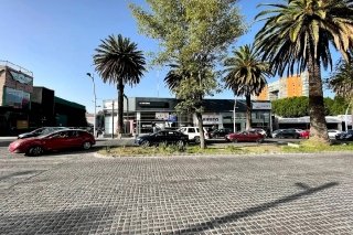 SEAT MEXICO y Agencia Autoforum de la Juárez, Negligentes y forman grupo de Delincuencia Organizada