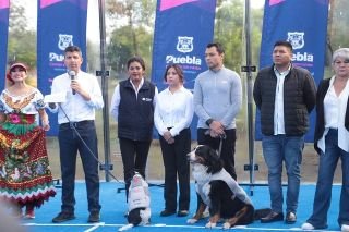 Ayuntamiento de Puebla invita a la carrera ‘Contigo y Tus Perritos’