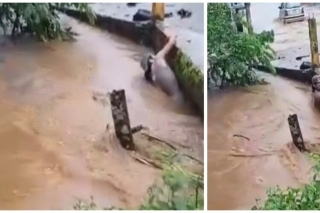 ¡Desesperante! Hombre lucha contra corriente de arroyo en Veracruz, nadie lo ayuda y desaparece