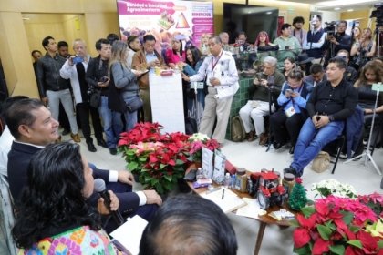 Gobierno de Puebla potencia producción de Nochebuena y consolida a Atlixco como líder nacional