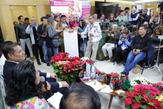 Gobierno de Puebla potencia producción de Nochebuena y consolida a Atlixco como líder nacional
