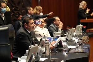 El Senado aprueba reforma electoral en maratónica sesión